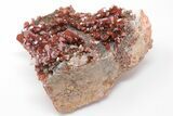5" Ruby Red Vanadinite Crystals on White Barite - Top Quality - #196354-1